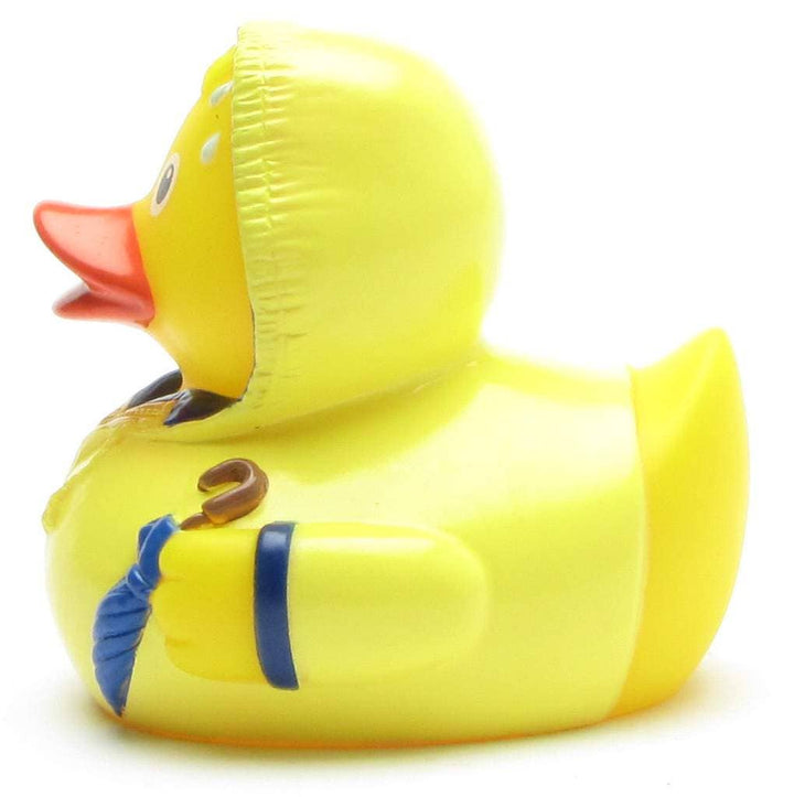 Rubber duck bad weather - rubber duck