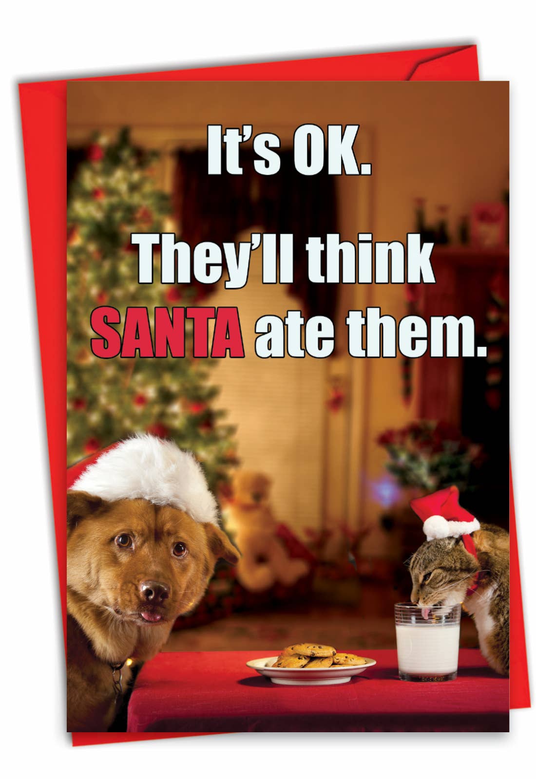 Single Christmas Card - Think Santa Ate Them Christmas