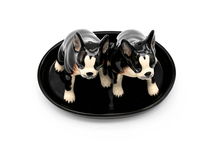 SP9122 SALT AND PEPPER SHAKER Boston Terrier