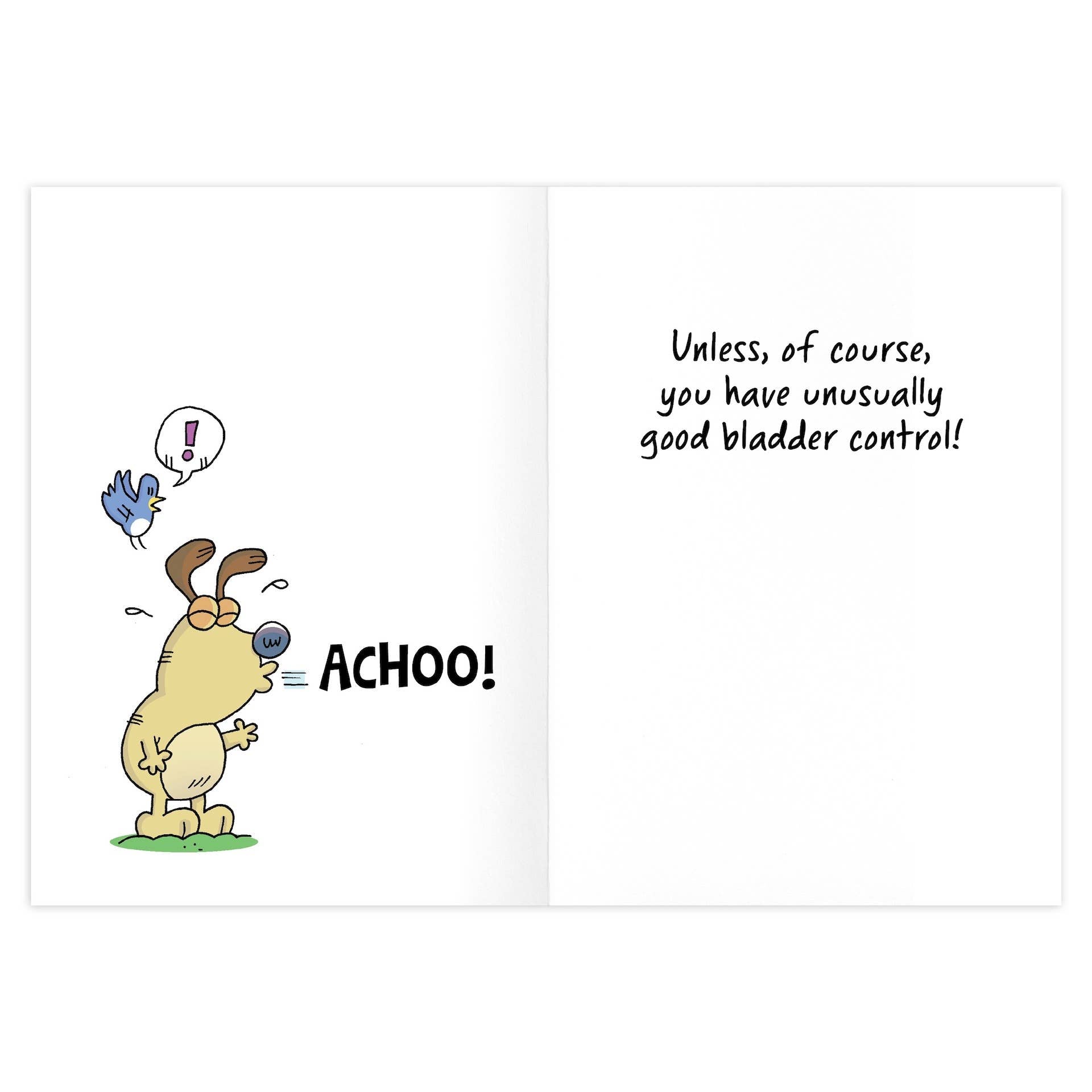 Nothing To Sneeze At Birthday Card - 9469