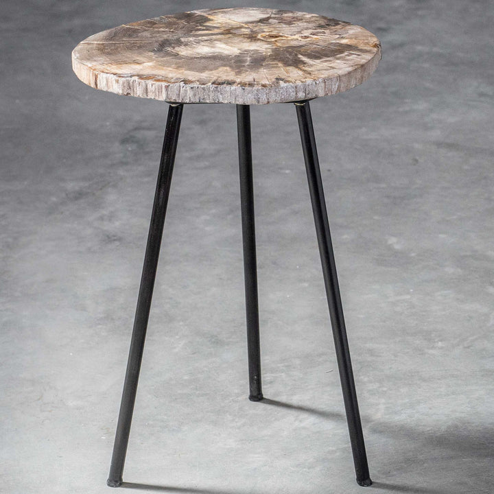 Mircea - Petrified Wood Accent Table - Black & Light Brown