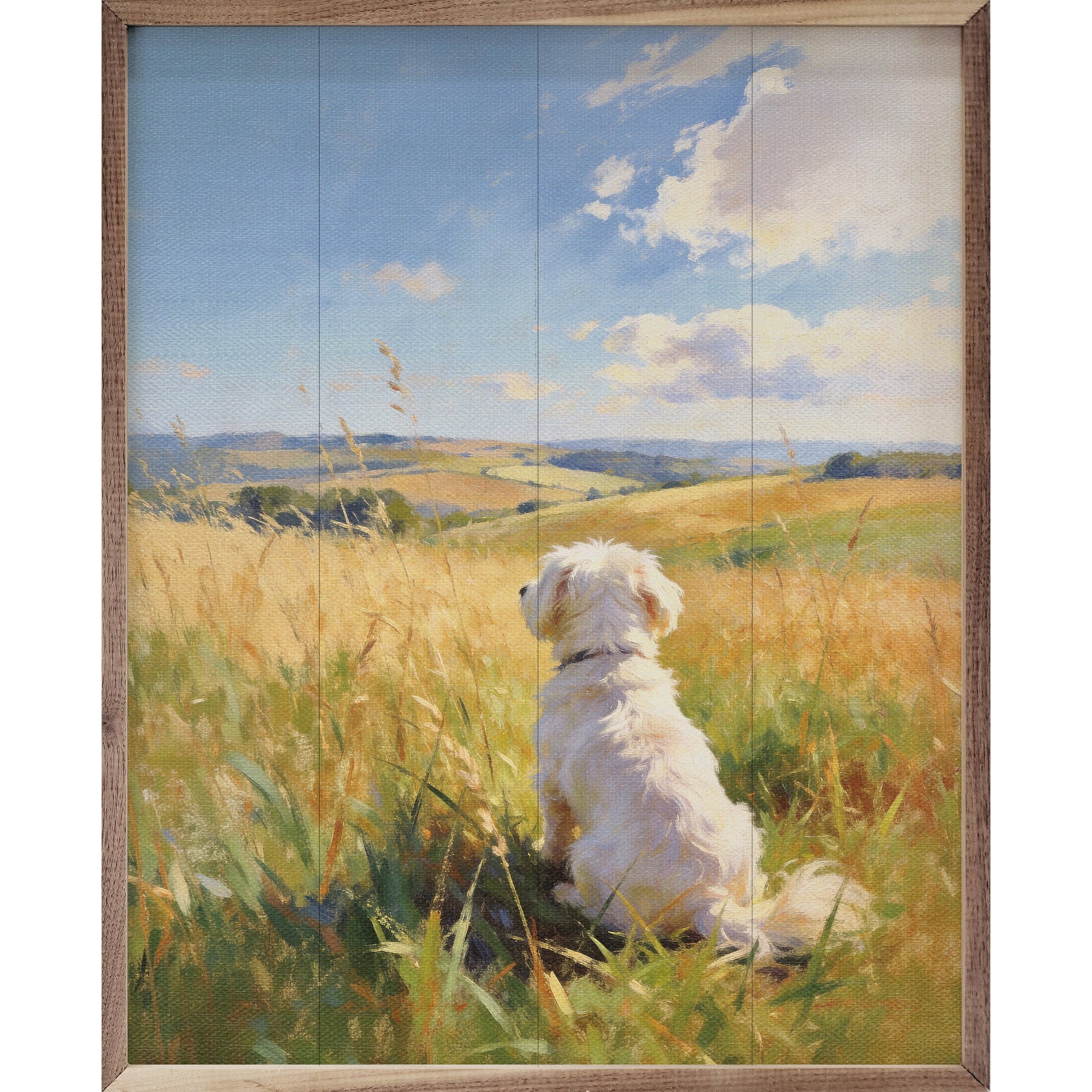 Sunny Day Maltese