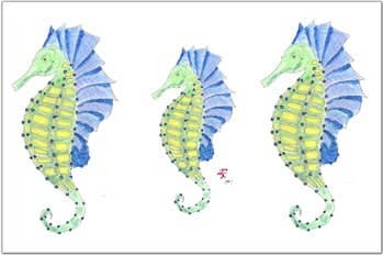 FishAye Seahorse Triple Placemat | Coastal Nautical Table Decor: Set of 8