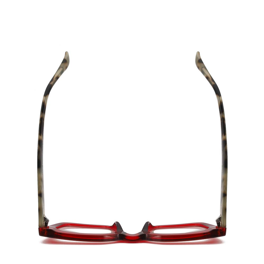 NESS | Transparent Red | Grey Tortoise | Blue Light: 2.50