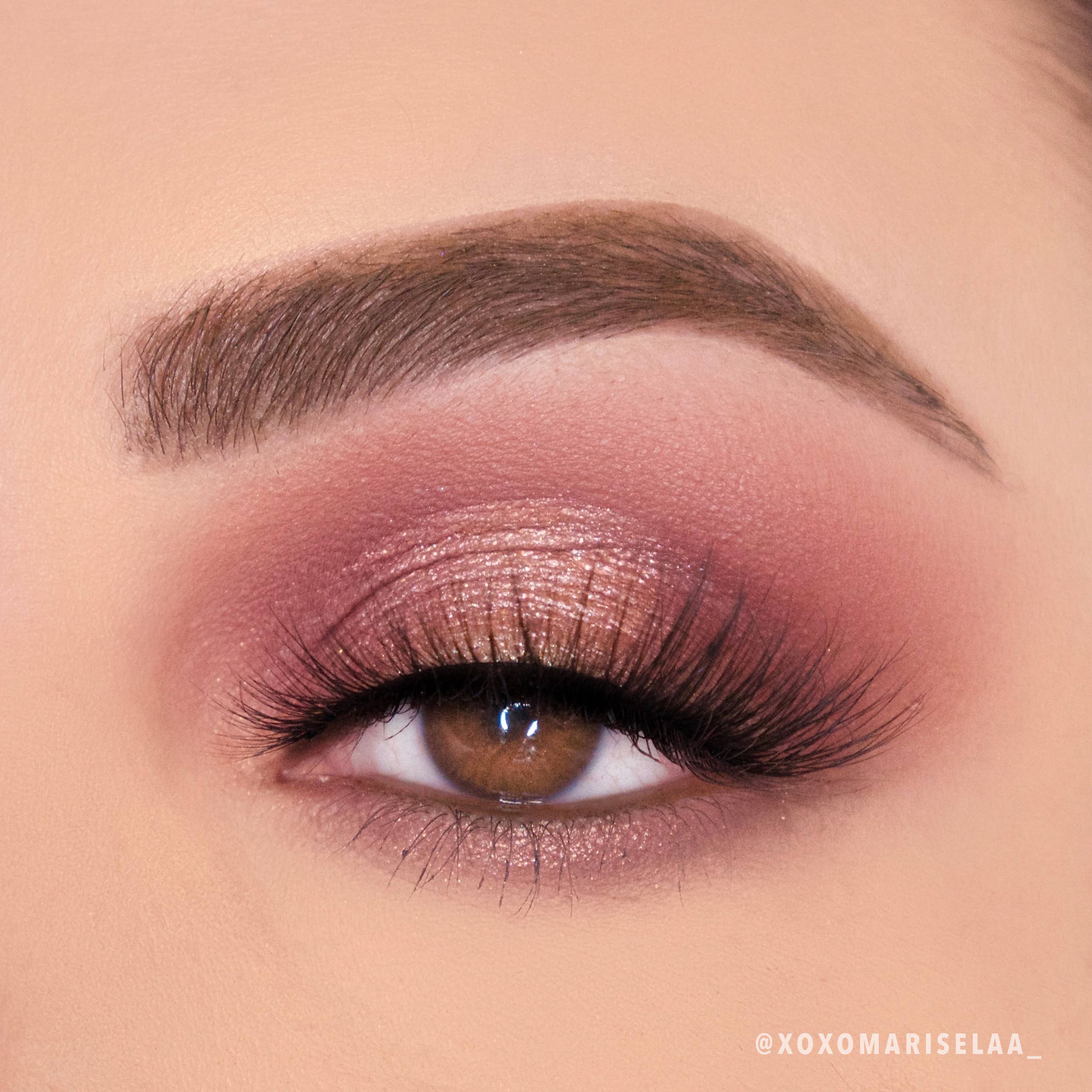 Viva La Rose Palette
