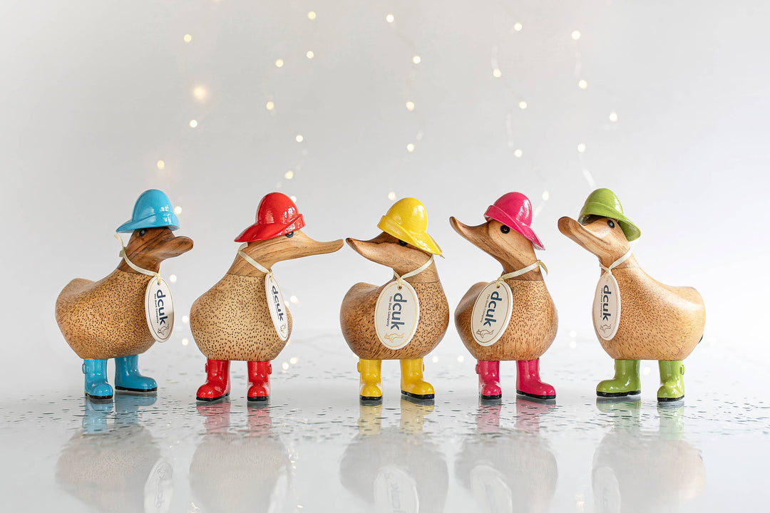 DCUK Rainy Day Duckys