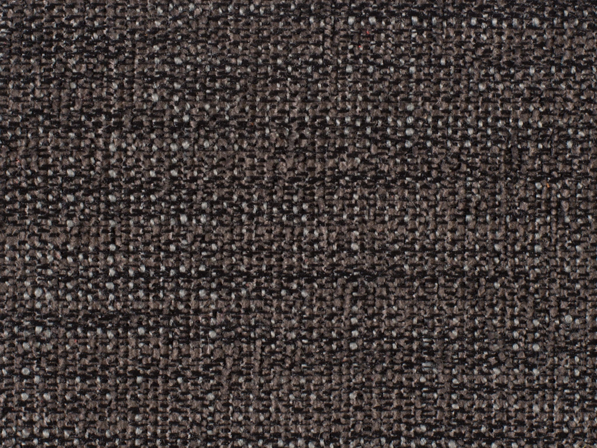 Curata - Upholstered Bench - Dark Gray / Dark Brown