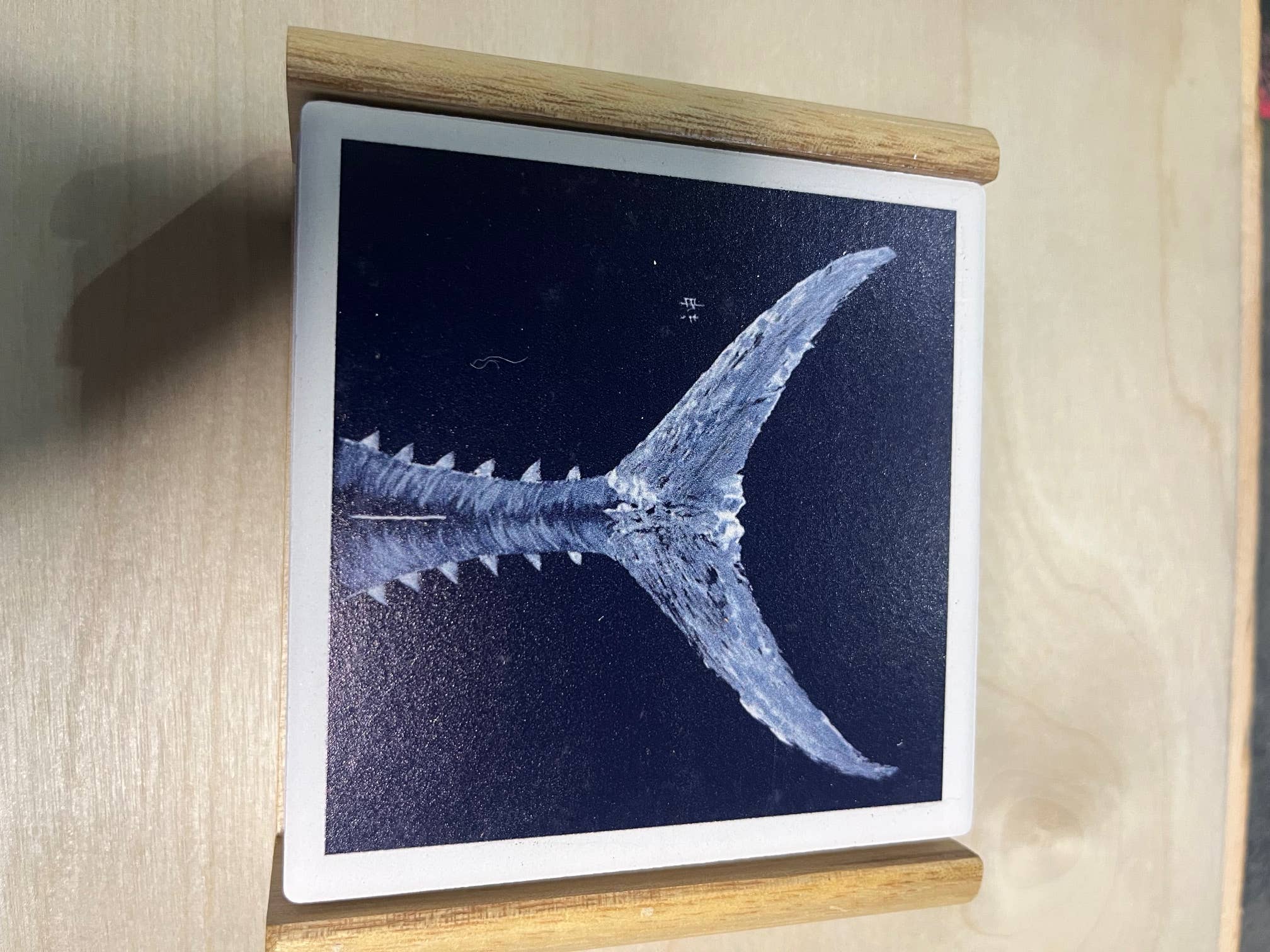 FishAye Navy Coaster – White Tuna Tail Ocean Design: Coasters w/ the wood caddy holder