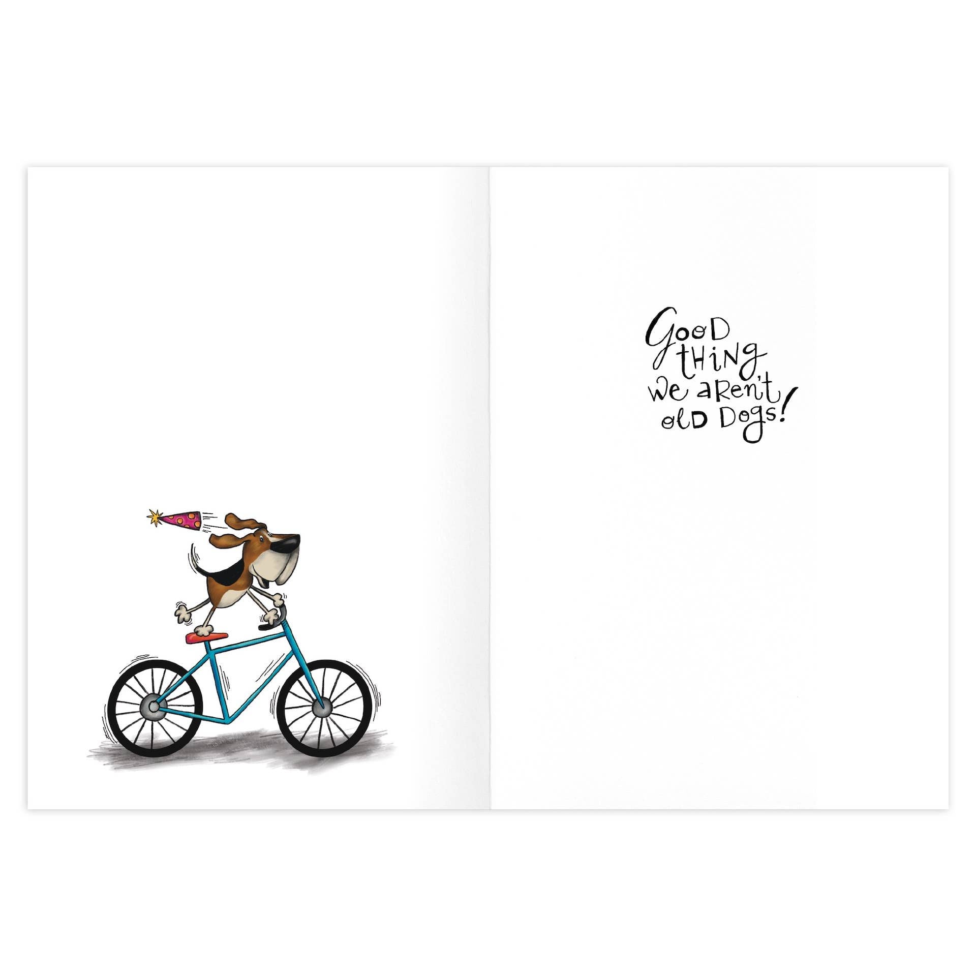 Old Dog New Tricks Birthday Card - 9477