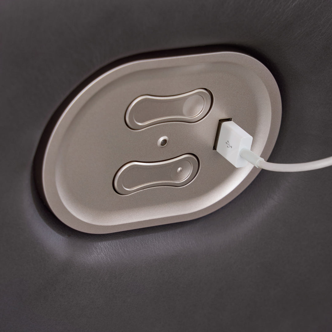 Dearview - Power Recliner/ Adj Headrest - Fog