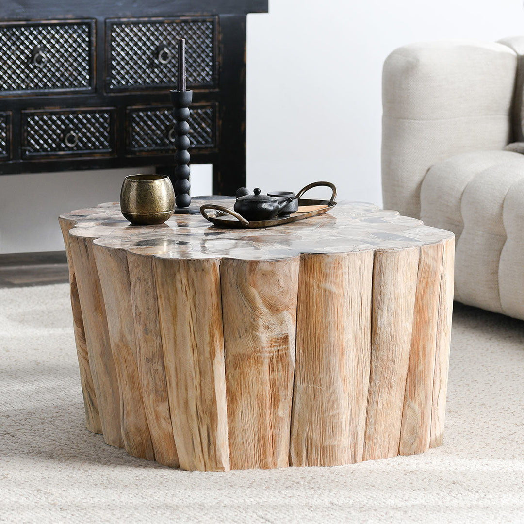 Norwest - Petrified Wood Coffee Table - Natural