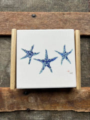 Coasters Starfish Set - 4x4