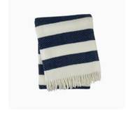 CANDY STRIPE  CREAM/NAVY - FAL