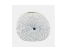 DOTTED SHELL VASE RND