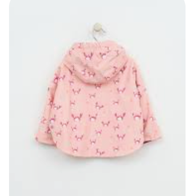 RAINCOAT