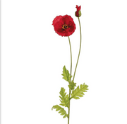 POPPY SPRAY RED 42.5"