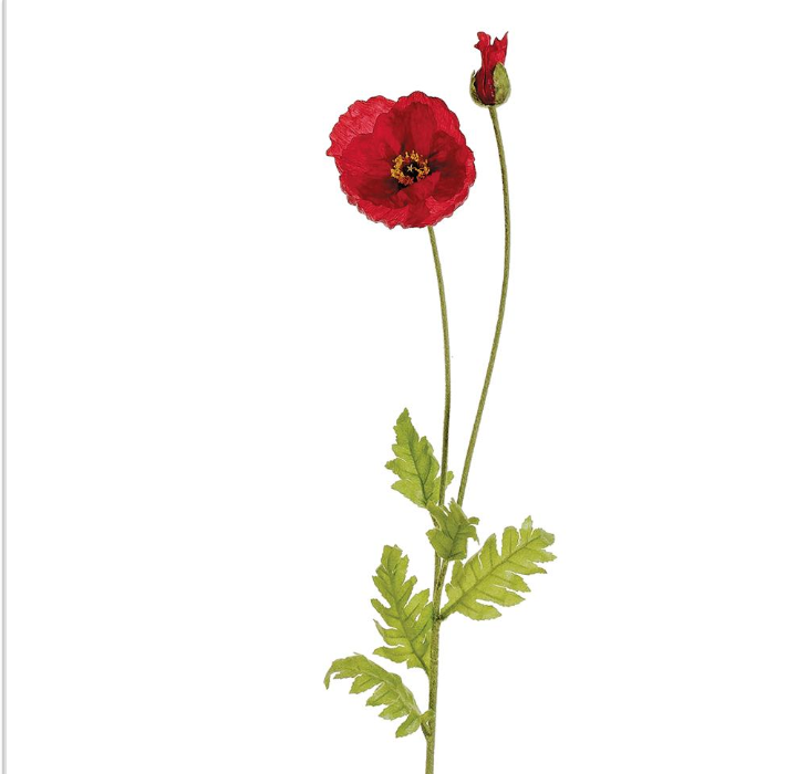 POPPY SPRAY RED 42.5"