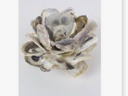 OYSTER SHELL FLOWER VOTIVE HOLDER