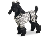 BLACK LABRADOODLE IN TWEED