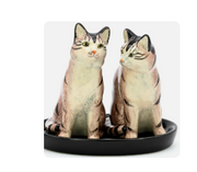 TABBY SALT AND PEPPER