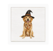 FALL DOG BLOCK