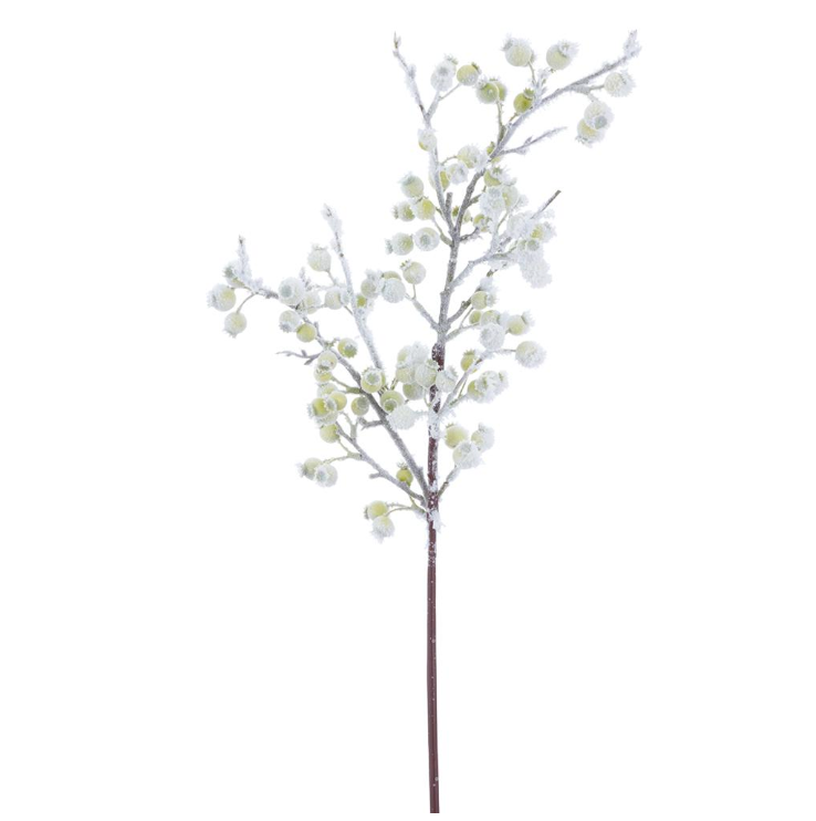 SNOWED ROSEHIP  SPRAY