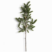 FIR BRANCH-39”