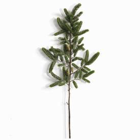 FIR BRANCH-39”