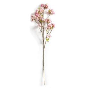CHERRY BLOSSOM 50”