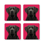 Set of 4 MDF Coasters - Black Labrador Retriever