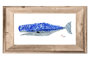 Whale Print