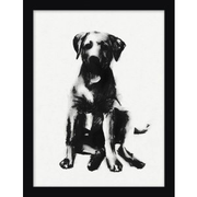 DOGS 5