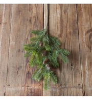 FIR BRANCH
