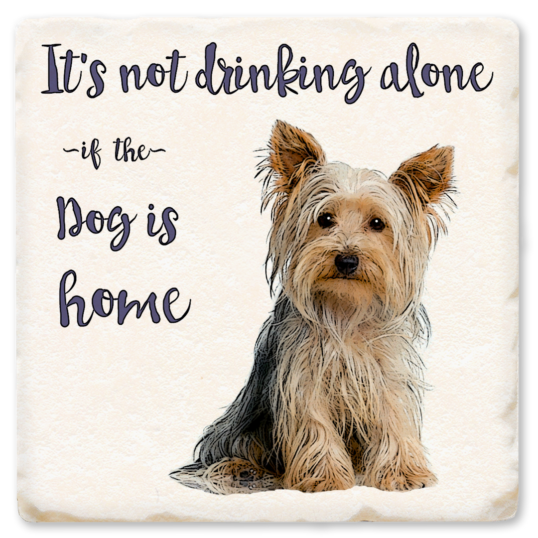 Economy Coaster - It's Not Drinking Alone Dog