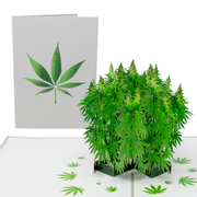 “Pot Plant” - 3D Drugs-Themed Card