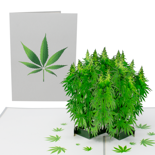 “Pot Plant” - 3D Drugs-Themed Card