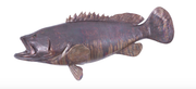 Estuary Cod Fish Wall Sculpture Resin, Copper Patina Finish