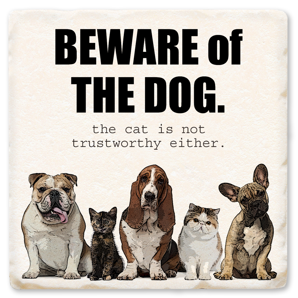 Economy Coaster - Beware Of The Dog