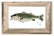 Cape Cod Summer Striper Print: 4" X 6" With Frame