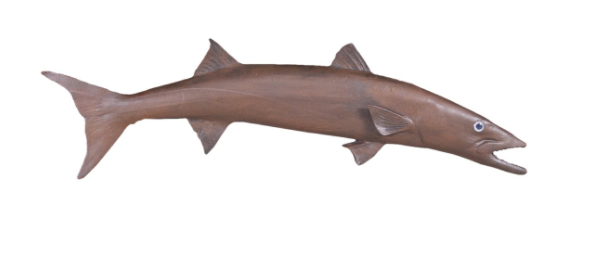 Barracuda Fish Rust