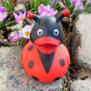 Ladybug Duck