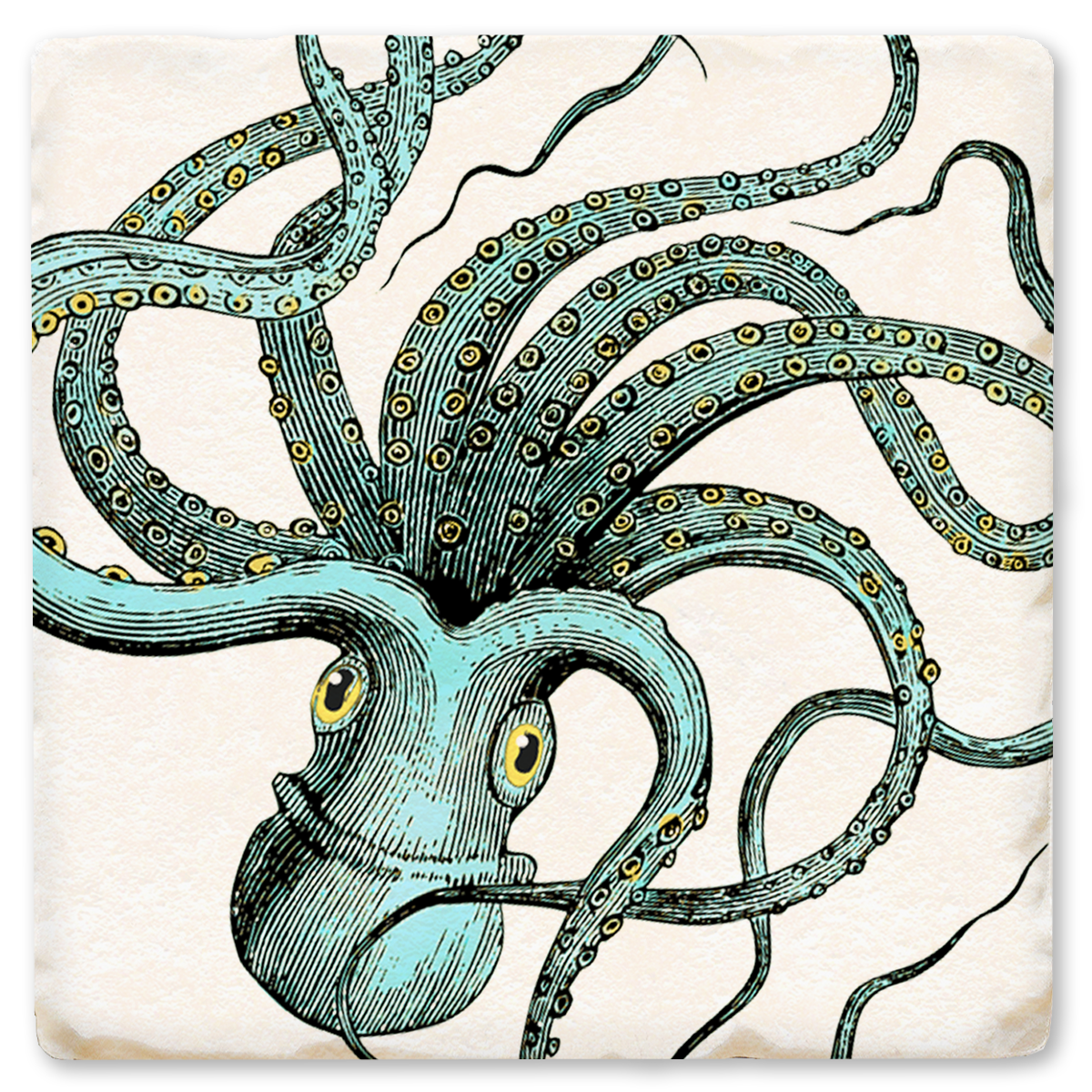 Economy Coaster - Octopus