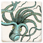 Economy Coaster - Octopus