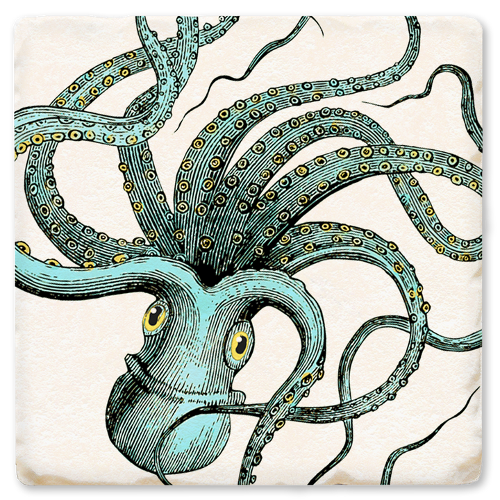 Economy Coaster - Octopus