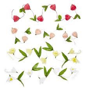 PAPER GARLAND