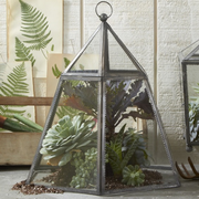 HEXAGONAL PLANT TERRARIUM CLOCHE