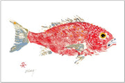 Red Snapper Placemat: Set of 8