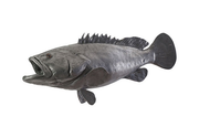 ESTUARY COD FISH POLISHED ALUMINUM