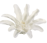16” TAHITIAN LILY HANGING FLOWER HEAD
