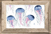 Jellyfish Print